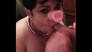 2026 01 13 Chienne Marie la reine des truies